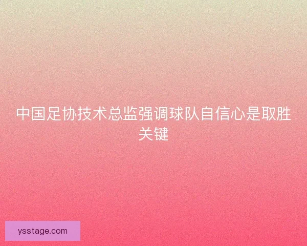 中国足协技术总监强调球队自信心是取胜关键
